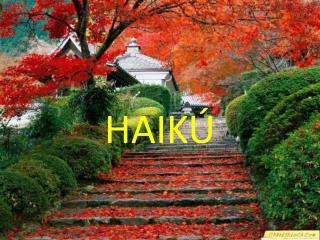 HAIKÚ