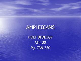 AMPHIBIANS