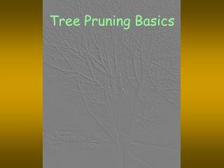 Tree Pruning Basics