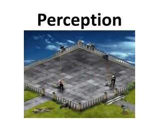 Perception