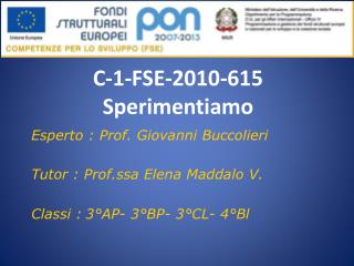 C-1-FSE-2010-615 Sperimentiamo