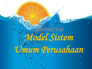 Model Sistem Umum Perusahaan