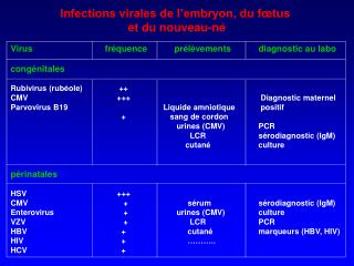Infections virales de l’embryon, du fœtus et du nouveau-né