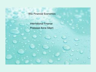 BSc Financial Economics: Bubbles