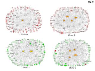 Cluster A