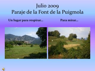 Julio 2009 Paraje de la Font de la Puigmola