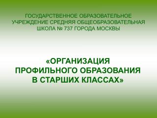 ГОСУДАРСТВЕННОЕ ОБРАЗОВАТЕЛЬНОЕ УЧРЕЖДЕНИЕ СРЕДНЯЯ ОБЩЕОБРАЗОВАТЕЛЬНАЯ ШКОЛА № 737 ГОРОДА МОСКВЫ