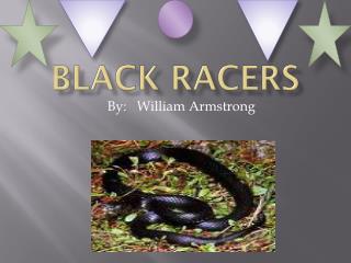 Black racers