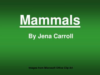 Mammals