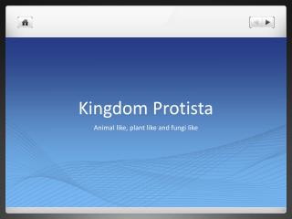 Kingdom Protista