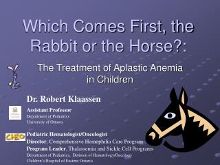 Which Comes First, the Rabbit or the Horse?: