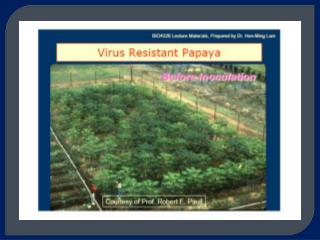 3. Papaya Ringspot Virus, (PRSV)