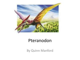 Pteranodon