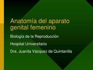 Anatomía del aparato genital femenino