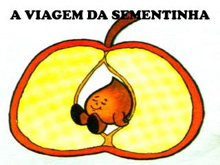 A VIAGEM DA SEMENTINHA