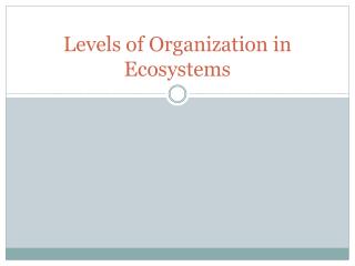 Levels of Organization in Ecosystems