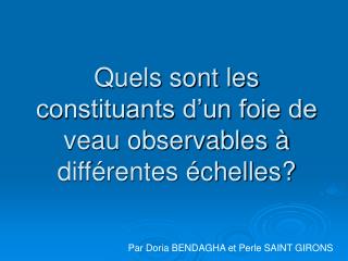 Quels sont les constituants d’un foie de veau observables à différentes échelles?