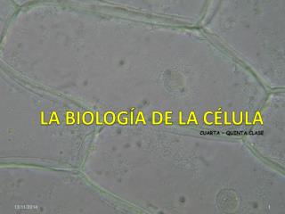 LA BIOLOGÍA DE LA CÉLULA CUARTA – QUINTA CLASE