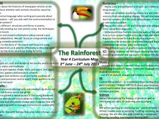 The Rainforest Year 4 Curriculum Map 3 rd June – 24 th July 2013
