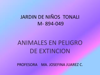 JARDIN DE NIÑOS TONALI M- 894-049