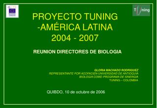 PROYECTO TUNING -AMÉRICA LATINA 2004 - 2007
