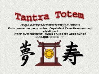 CE QUI SUIT EST UN TOTEM TANTRIQUE CHINOIS.