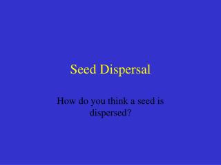 Seed Dispersal