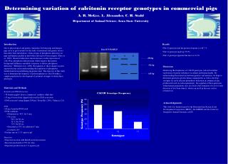 Determining variation of calcitonin receptor genotypes in commercial pigs