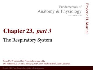 Chapter 23, part 3