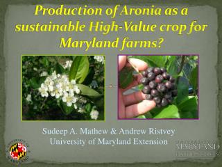 Production of Aronia as a sustainable High-Value crop for Maryland farms?