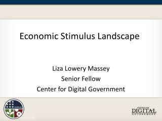 Economic Stimulus Landscape