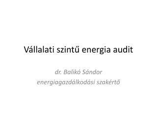 Vállalati szintű energia audit