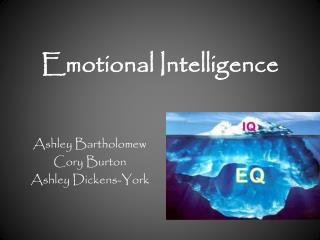 Emotional Intelligence