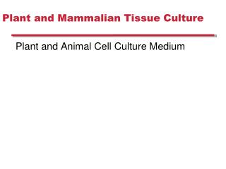 Plant and Mammalian Tissue Culture