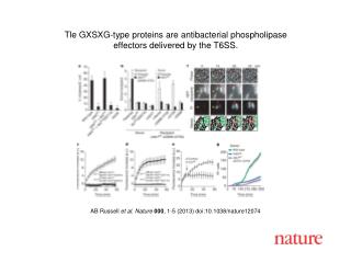AB Russell et al. Nature 000 , 1 - 5 (2013) doi:10.1038/nature 12074