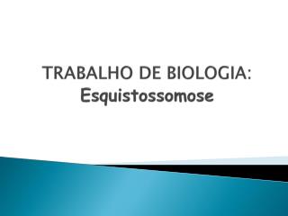 TRABALHO DE BIOLOGIA: Esquistossomose