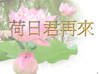 荷日君再來