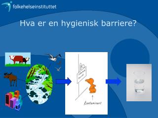 Hva er en hygienisk barriere?