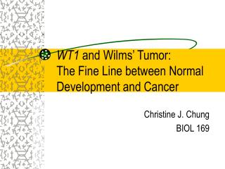 WT1 and Wilms’ Tumor: The Fine Line between Normal Development and Cancer