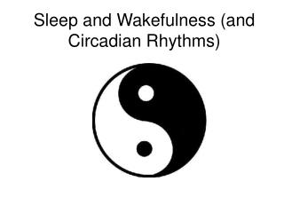 Sleep and Wakefulness (and Circadian Rhythms)