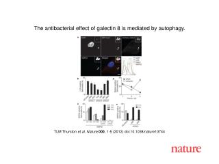 TLM Thurston et al . Nature 000 , 1 - 5 (2012) doi:10.1038/nature10744