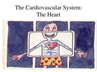 The Cardiovascular System: The Heart