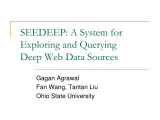 SEEDEEP: A System for Exploring and Querying Deep Web Data Sources