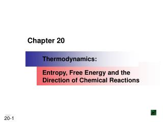 Chapter 20