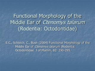 Functional Morphology of the Middle Ear of Ctenomys talarum (Rodentia: Octodontidae)