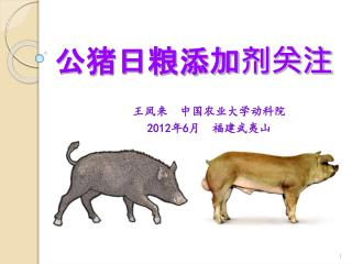 公猪日粮添加剂关注