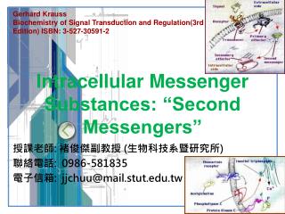 Intracellular Messenger Substances: “Second Messengers”