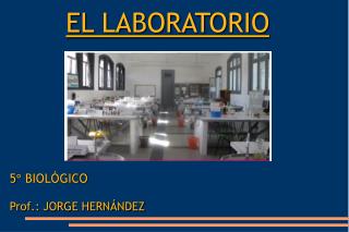 EL LABORATORIO 5° BIOLÓGICO Prof.: JORGE HERNÁNDEZ