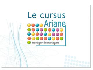 Le cursus