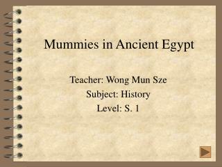 Mummies in Ancient Egypt